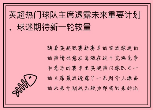 英超热门球队主席透露未来重要计划，球迷期待新一轮较量